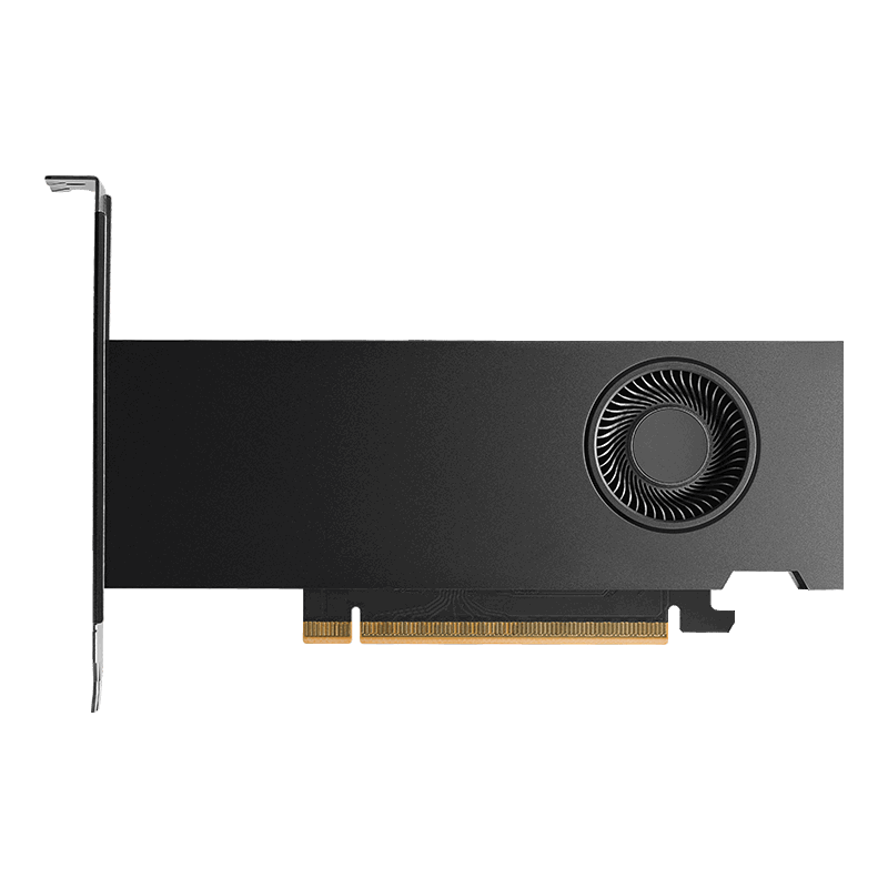 Grafikkarte  NVIDIA RTX PRO 2000 Blackwell  16GB  PCIe 5.0 x8 Retail